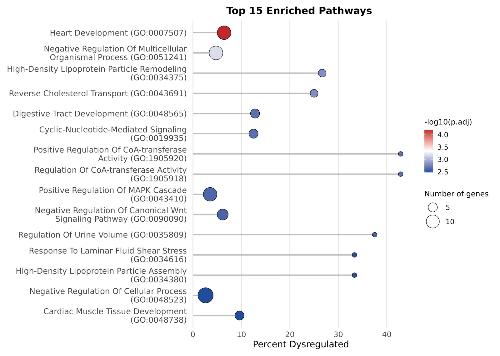 Top 15 GO Biological Process enrichment results from TransXplorer with Heart Development GO:0007507 as the top hit, followed by Cardiac Muscle Tissue Development, MAPK Cascade Regulation, and other cardiovascular and developmental pathways